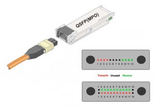 24-Fiber Trunk Cabling