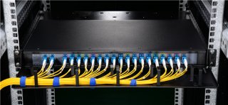 D-Ring Cable Manager