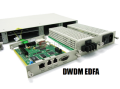 Erbium-doped Fiber Amplifier (EDFA)