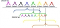 Two Types of WDM Connectivity – CWDM and DWDM