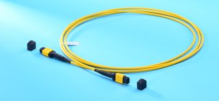 What Is Fiber Optic Trunk Cable Assemblies