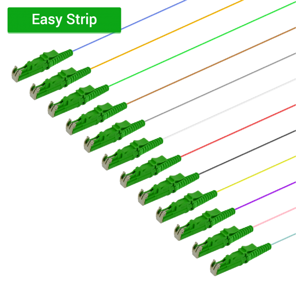 LSH/APC 12 Fiber Pigtail|Single Mode G657.A2|0.9mm