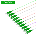 SC/APC 12 Fiber Pigtail|Single Mode G657.A2|0.9mm