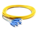 SC Jacketed 6 Pk SM Yellow Jacketed Fiber Pigtails, 3 Meters