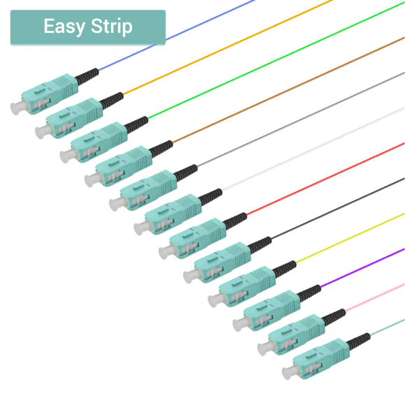 SC/UPC 12 Fiber Pigtail|Multi Mode G651.OM3|0.9mm