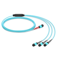 24 to 8 fiber MTP conversion cable