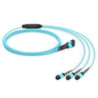 12 to 8 fiber MTP conversion cable