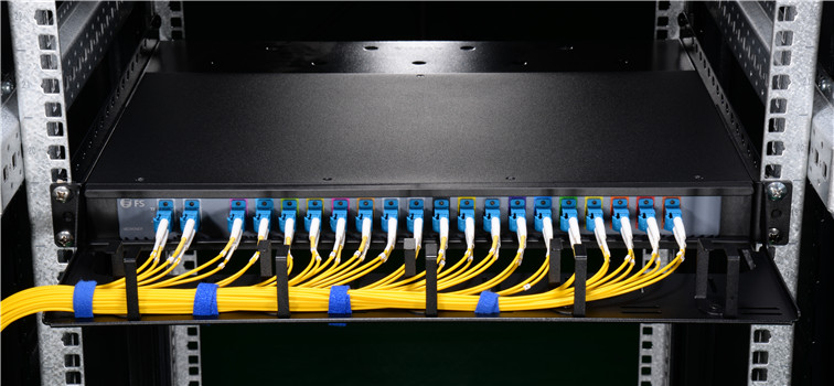 D-ring cable manager