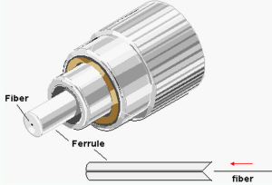 fiber optic connector ferrule